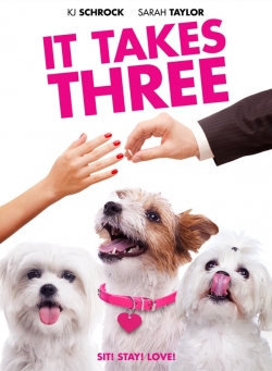 Watch Free It Takes Three Movies HD Online 123Movies