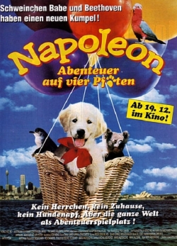 Watch Free Napoleon Movies HD Online 123Movies