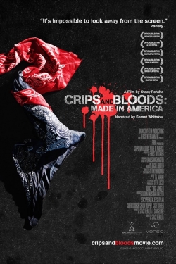 Watch Free Crips and Bloods: Made in America Movies HD Online 123Movies