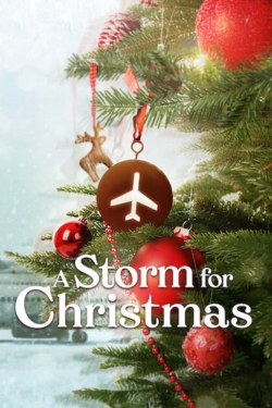 Watch Free A Storm for Christmas Movies HD Online 123Movies