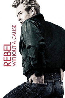 Watch Free Rebel Without a Cause Movies HD Online 123Movies