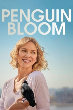 Watch Free Penguin Bloom Movies HD Online 123Movies