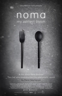 Watch Free Noma: My Perfect Storm Movies HD Online 123Movies