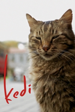 Watch Free Kedi Movies HD Online 123Movies