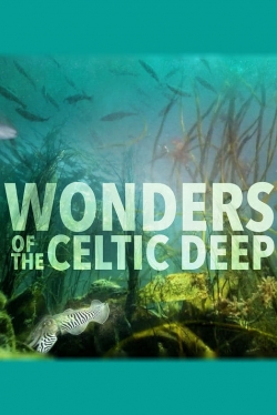 Watch Free Wonders of the Celtic Deep Movies HD Online 123Movies