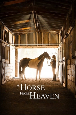 Watch Free A Horse from Heaven Movies HD Online 123Movies